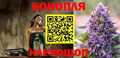 прущие грибы Можга