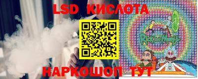 прущие грибы Можга