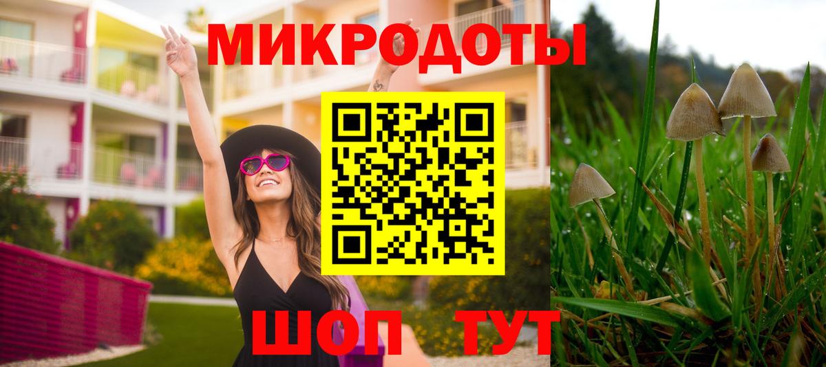 Георгиевск  Галлюциногенные грибы Magic Shrooms  Псилоцибиновые грибы мицелий  Вход с VPN 