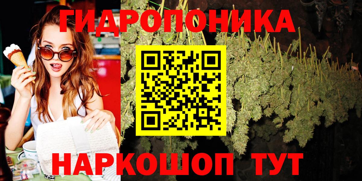 Бошки Шишки VHQ Георгиевск